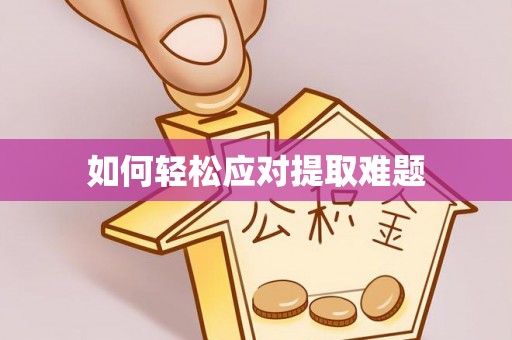 仙游如何轻松应对提取难题
