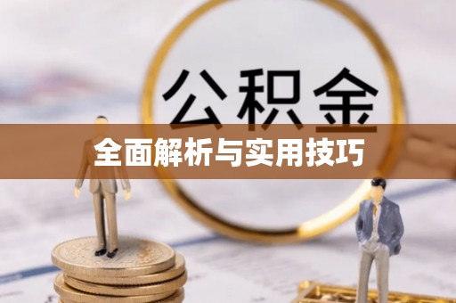 仙游全面解析与实用技巧