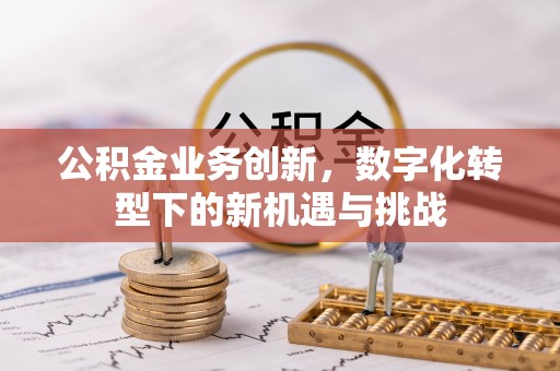 仙游公积金业务创新，数字化转型下的新机遇与挑战