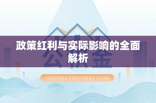 仙游政策红利与实际影响的全面解析