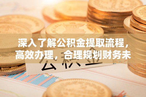 仙游深入了解公积金提取流程，高效办理，合理规划财务未来