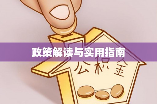 仙游政策解读与实用指南