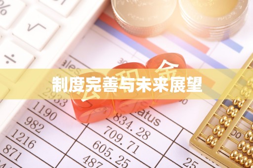 仙游制度完善与未来展望