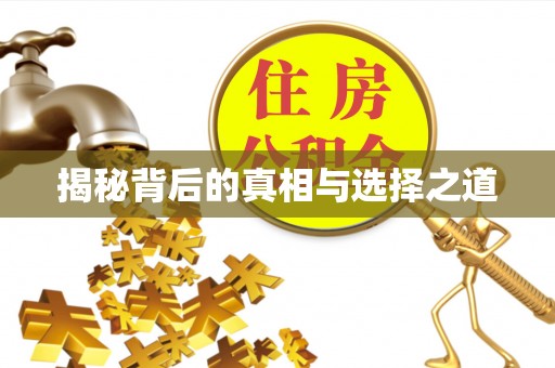 仙游揭秘背后的真相与选择之道