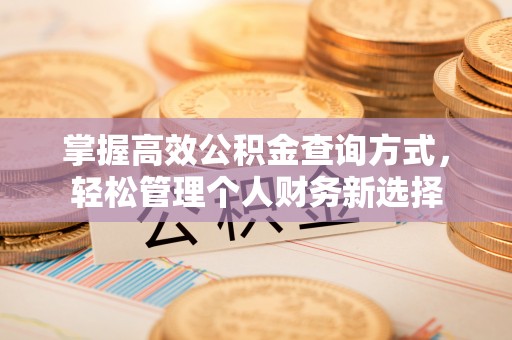 仙游掌握高效公积金查询方式，轻松管理个人财务新选择