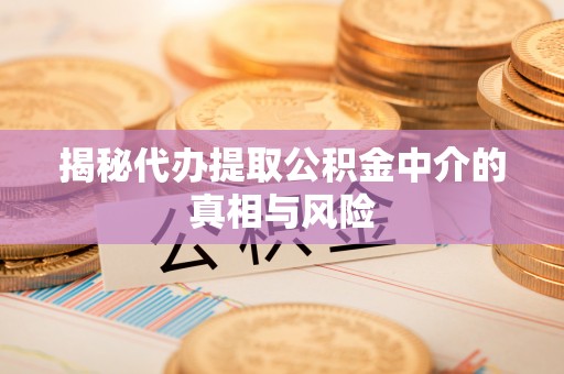 仙游揭秘代办提取公积金中介的真相与风险