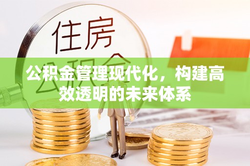 仙游公积金管理现代化，构建高效透明的未来体系