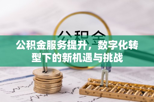 仙游公积金服务提升，数字化转型下的新机遇与挑战