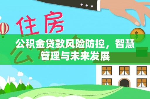 仙游公积金贷款风险防控，智慧管理与未来发展
