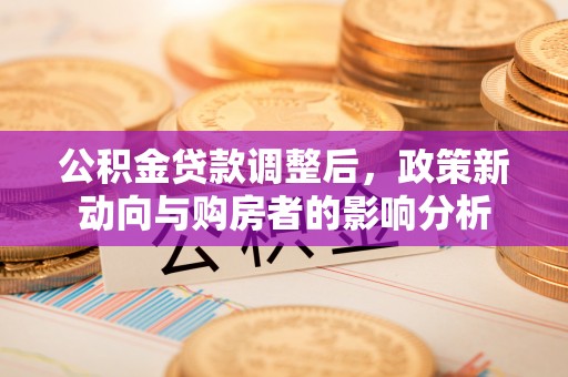 仙游公积金贷款调整后，政策新动向与购房者的影响分析