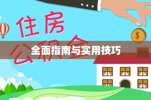 仙游全面指南与实用技巧