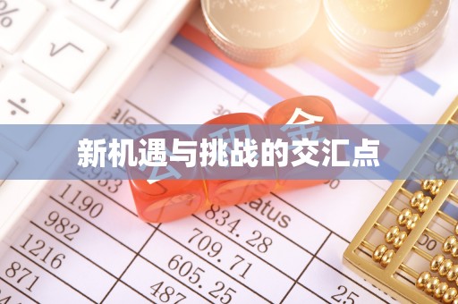 仙游新机遇与挑战的交汇点