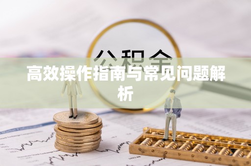 仙游高效操作指南与常见问题解析