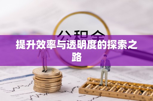 仙游提升效率与透明度的探索之路