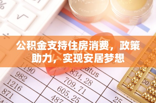 仙游公积金支持住房消费，政策助力，实现安居梦想