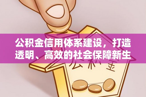 仙游公积金信用体系建设，打造透明、高效的社会保障新生态