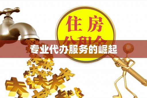 仙游专业代办服务的崛起