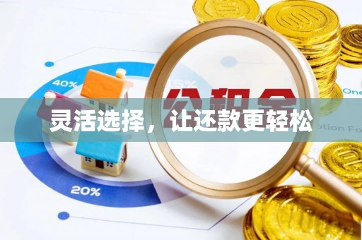仙游灵活选择，让还款更轻松