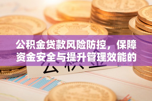 仙游公积金贷款风险防控，保障资金安全与提升管理效能的多维度探索