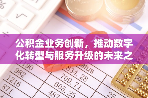 仙游公积金业务创新，推动数字化转型与服务升级的未来之路