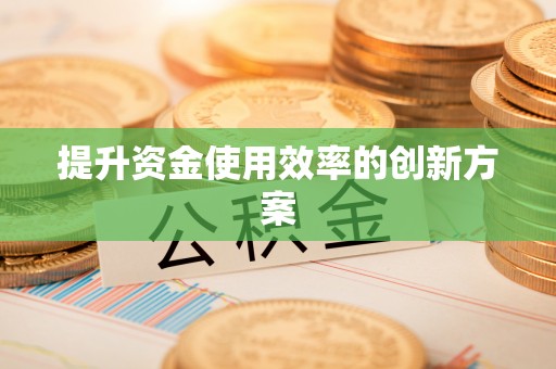 仙游提升资金使用效率的创新方案