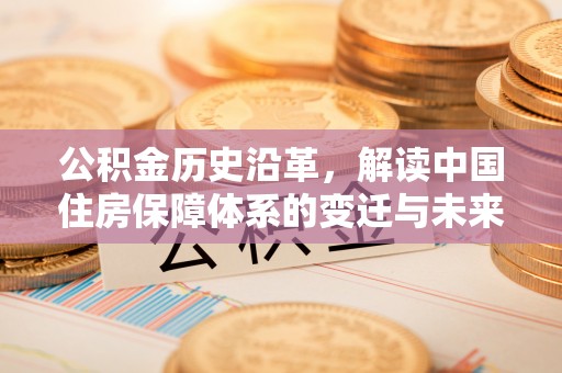 仙游公积金历史沿革，解读中国住房保障体系的变迁与未来
