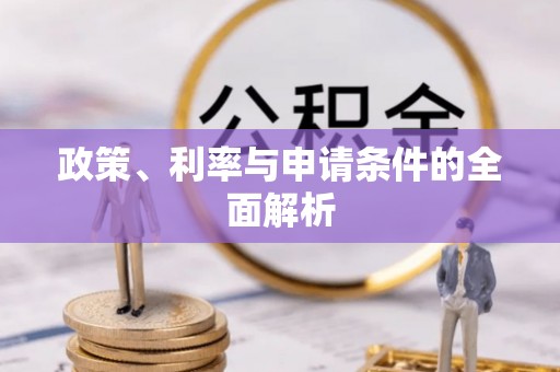 仙游政策、利率与申请条件的全面解析