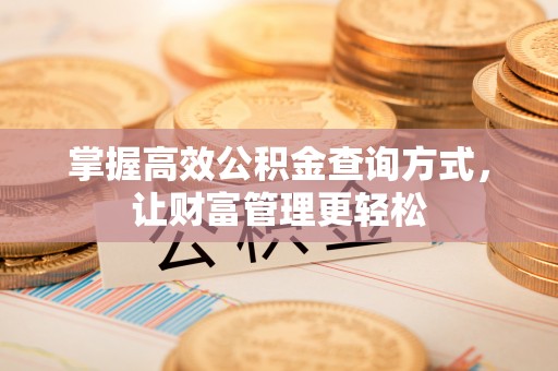 仙游掌握高效公积金查询方式，让财富管理更轻松