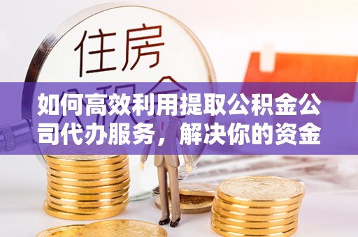 仙游如何高效利用提取公积金公司代办服务，解决你的资金难题