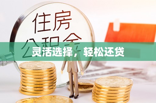 仙游灵活选择，轻松还贷