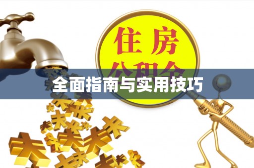 仙游全面指南与实用技巧