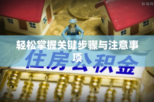仙游轻松掌握关键步骤与注意事项
