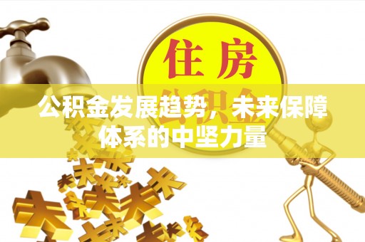 仙游公积金发展趋势，未来保障体系的中坚力量