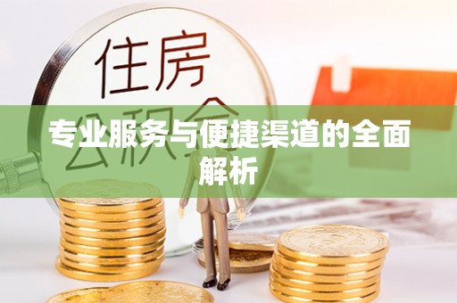 仙游专业服务与便捷渠道的全面解析