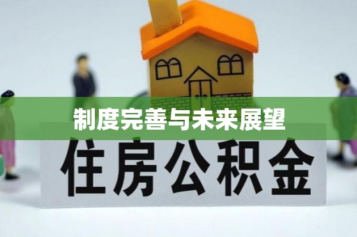 仙游制度完善与未来展望