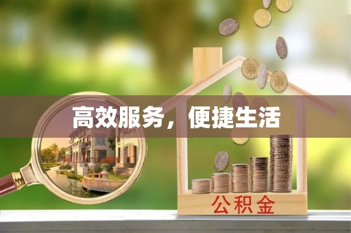 仙游高效服务，便捷生活