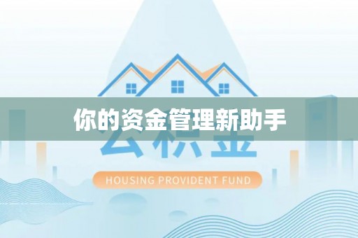 仙游你的资金管理新助手