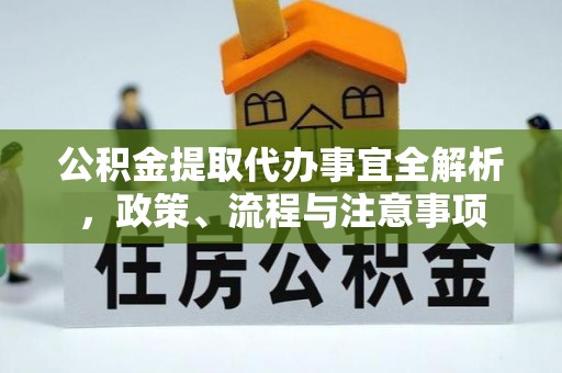 仙游公积金提取代办事宜全解析，政策、流程与注意事项