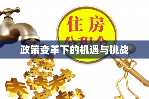 仙游政策变革下的机遇与挑战