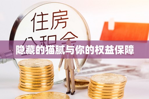 仙游隐藏的猫腻与你的权益保障