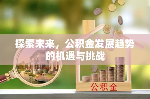 仙游探索未来，公积金发展趋势的机遇与挑战