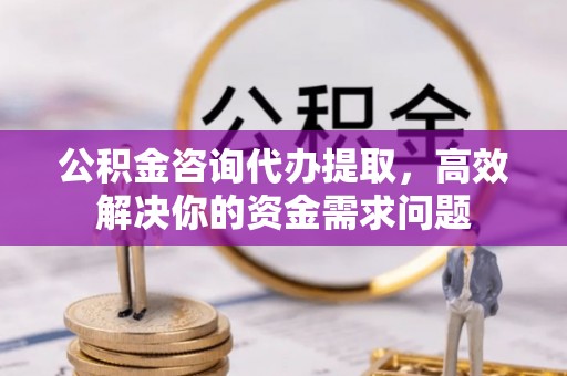 仙游公积金咨询代办提取，高效解决你的资金需求问题