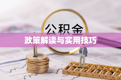 仙游政策解读与实用技巧