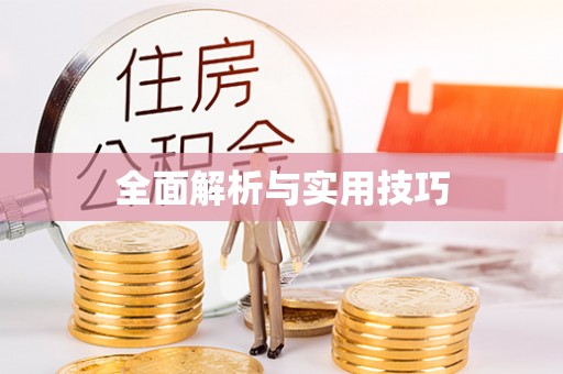 仙游全面解析与实用技巧