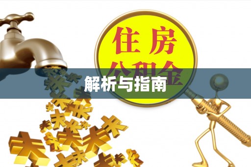 仙游解析与指南
