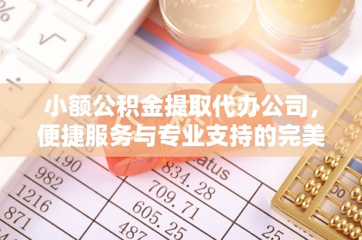 仙游小额公积金提取代办公司，便捷服务与专业支持的完美结合