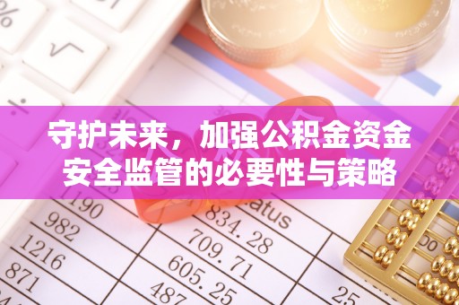 仙游守护未来，加强公积金资金安全监管的必要性与策略