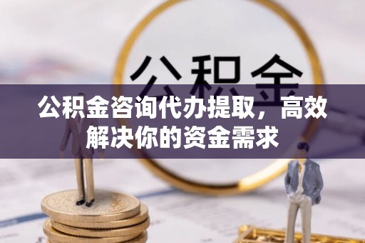 仙游公积金咨询代办提取，高效解决你的资金需求