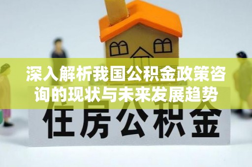 仙游深入解析我国公积金政策咨询的现状与未来发展趋势