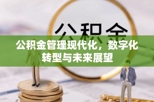 仙游公积金管理现代化，数字化转型与未来展望